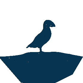 puffin