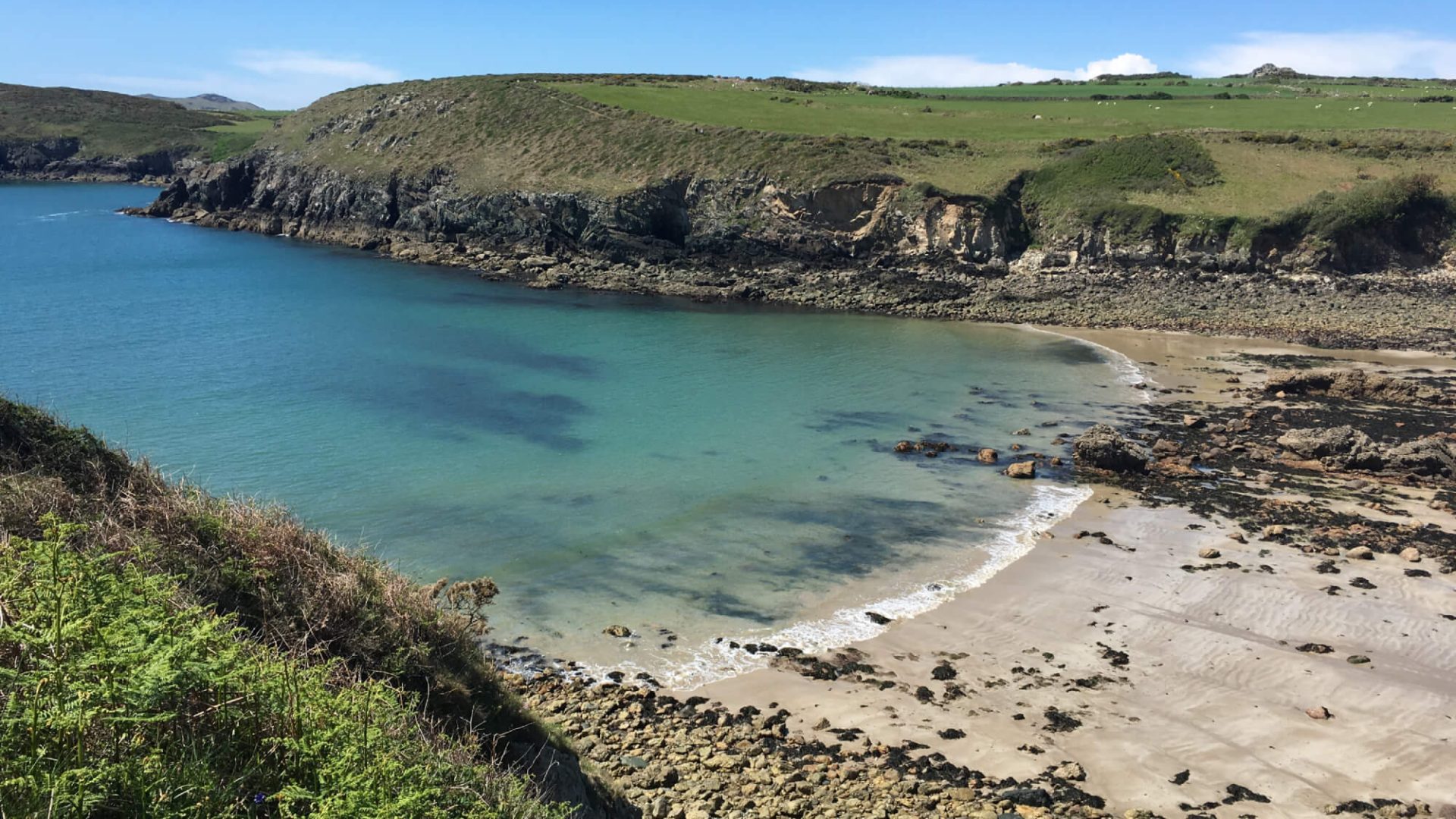 st-davids-escapes-hero