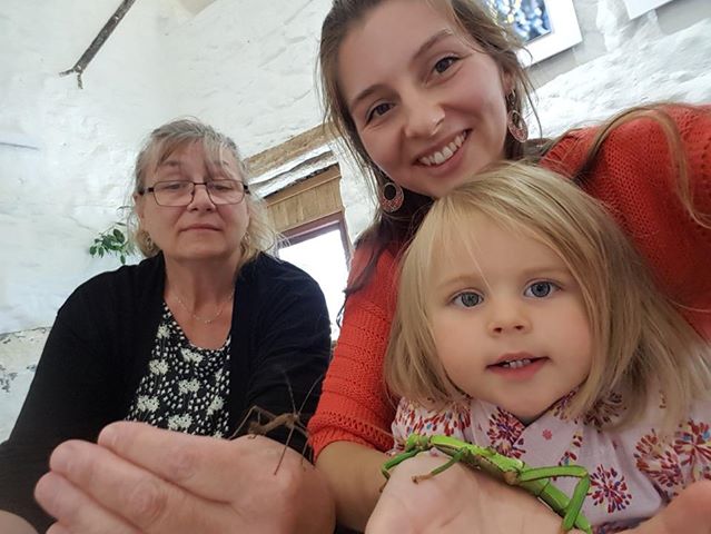 The Bug Farm, St Davids