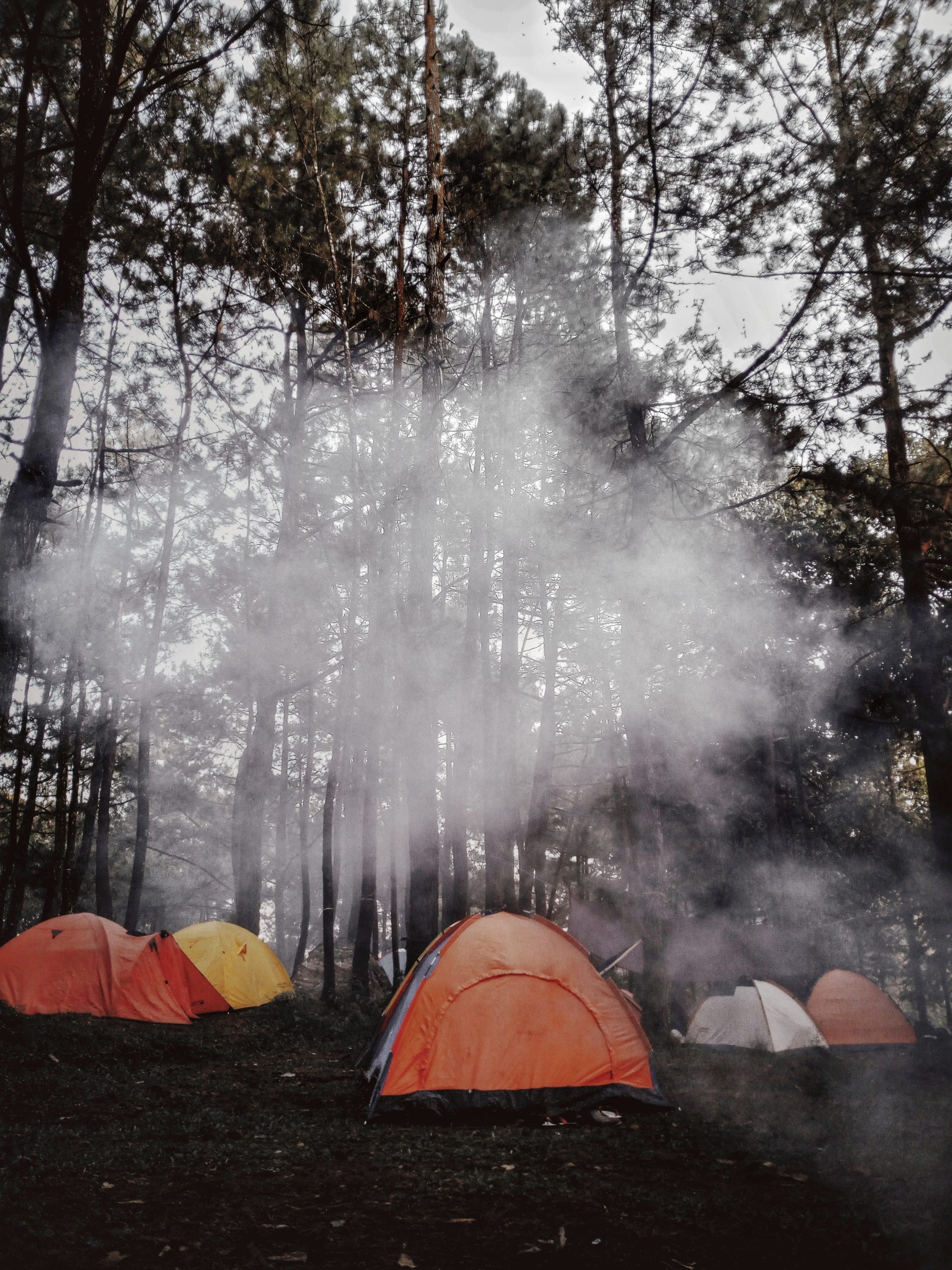 No camping