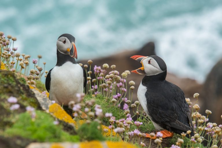wynand-van-poortvliet-364366-unsplash-1624×1083-1
