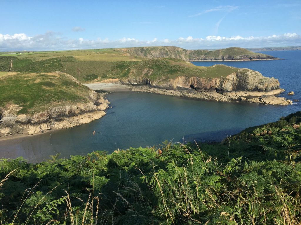 Coastal Path Views
