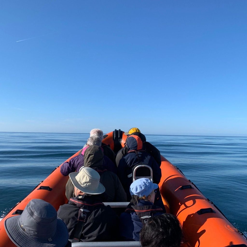 Boat Trip