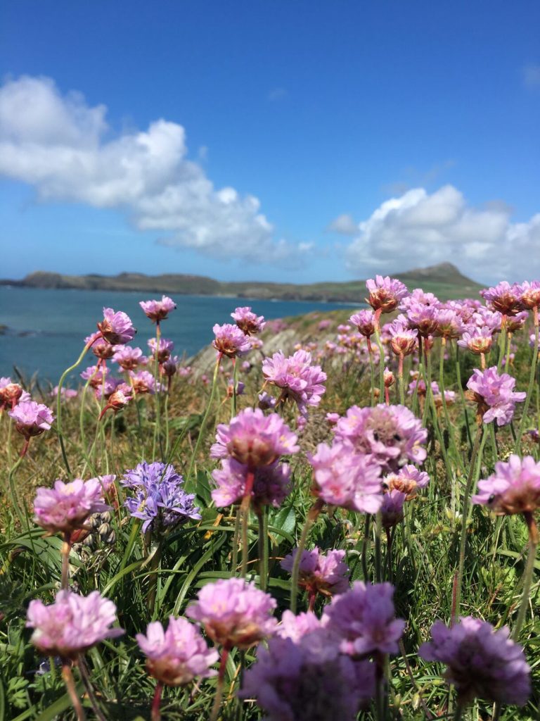 Coastal Path