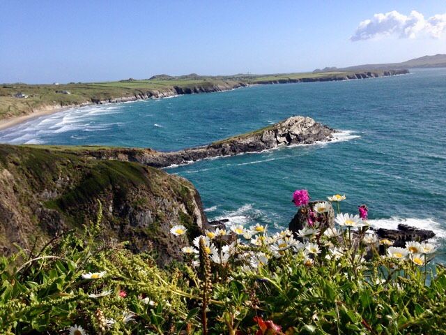 Yr-Hendy-St-Davids-Clifftops-2