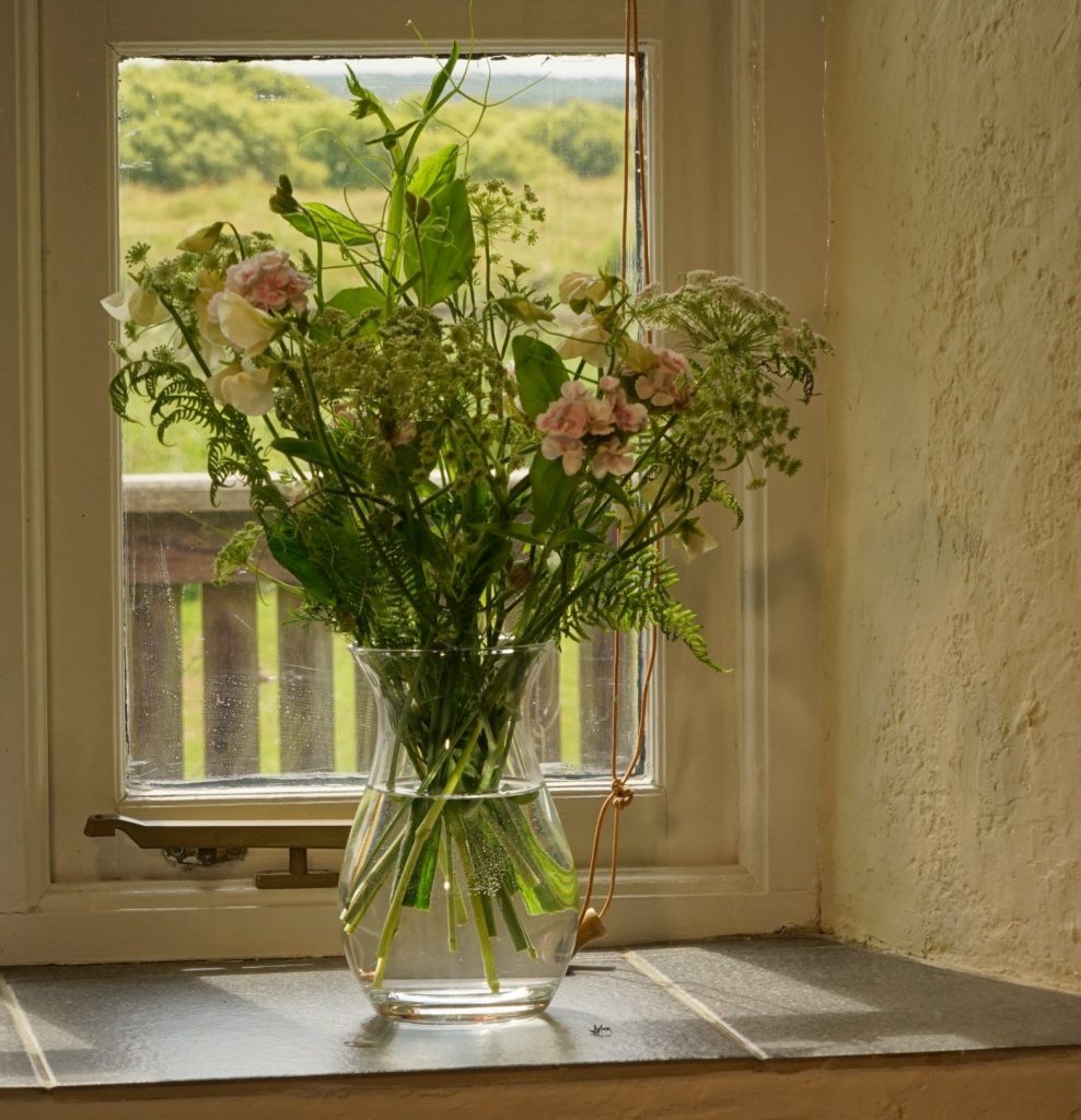 Yr-Hendy-St-Davids-Flowers