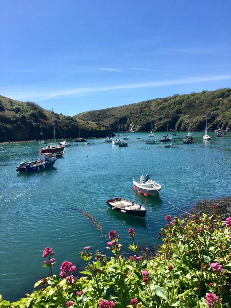 Yr Hen Laethdy Near St Davids Near St Davids Solva Harbour 