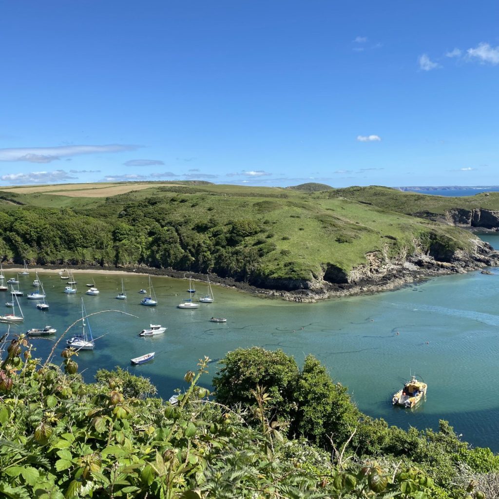 Wellfield Cottage Solva Harbour 