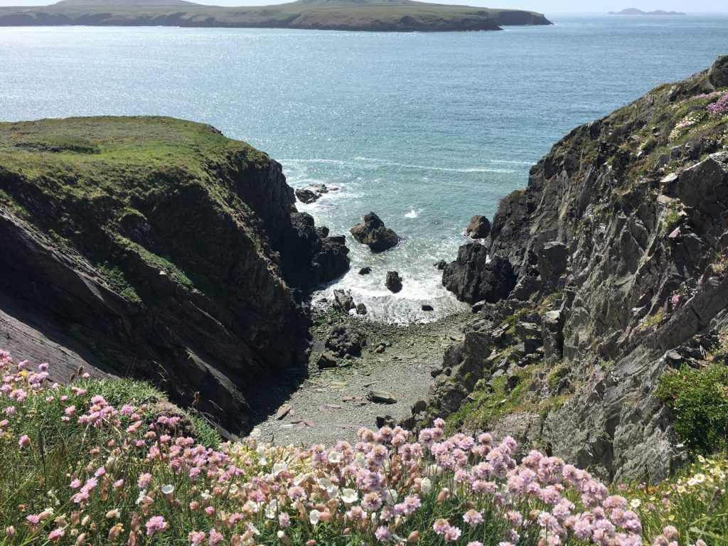 Coastal Path Walks