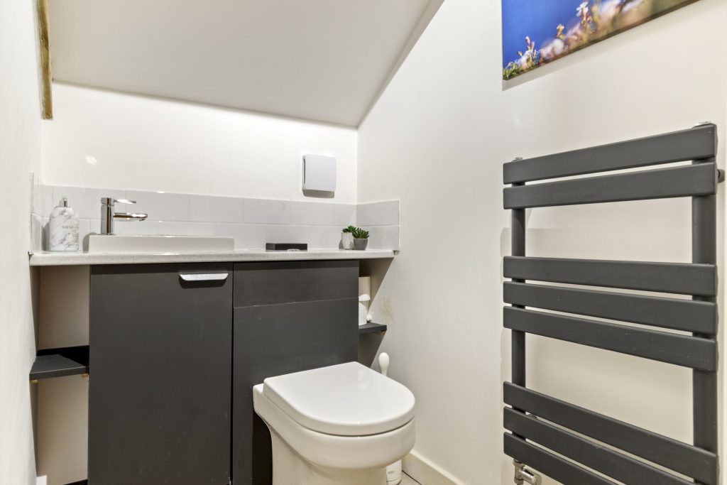 Park House St Davids Toilet