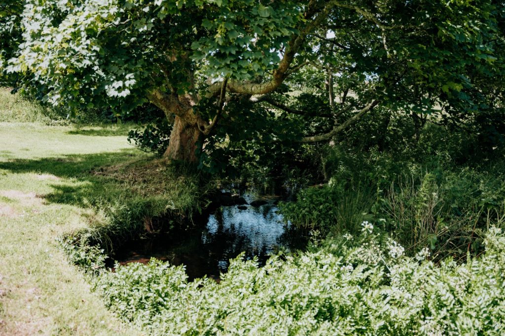Rhodiad Mill image