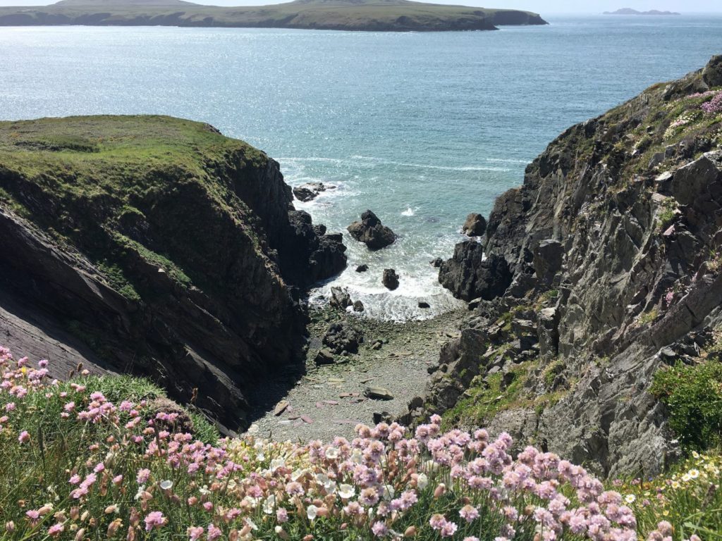 Coastal Path Views