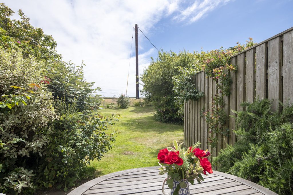 Summer Cottage Garden