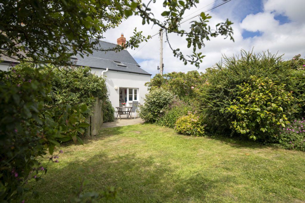 Summer Cottage Garden 2