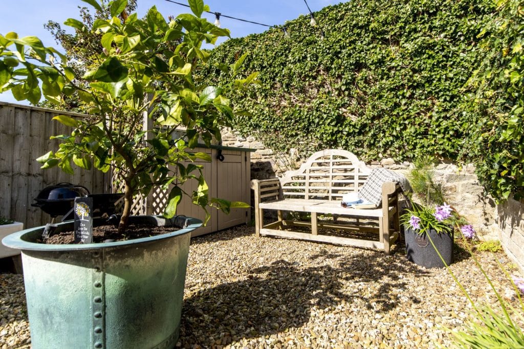 Lemon Tree Cottage image